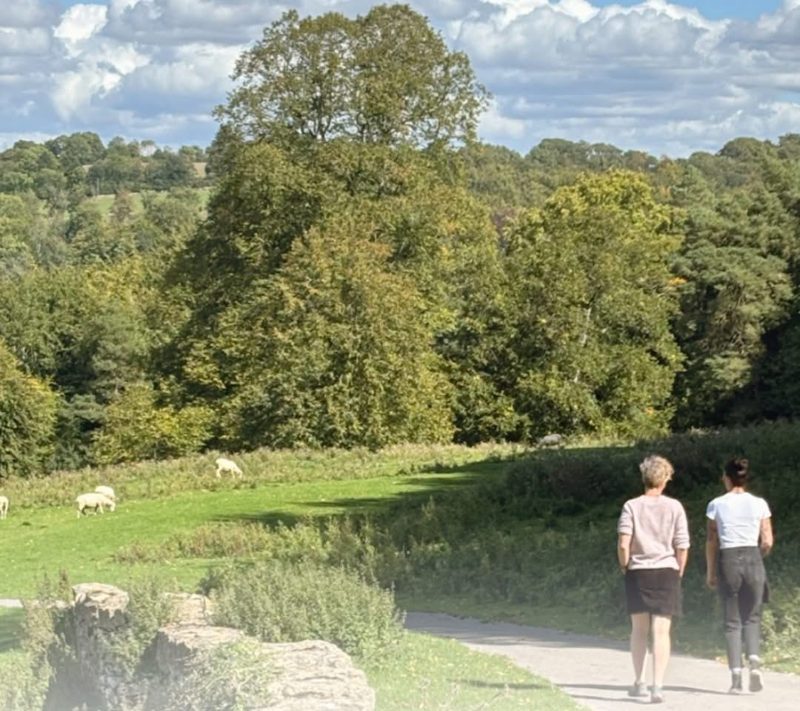 Two walkers on a path through Cotswold parkland with grazing sheep and old trees, near the practice